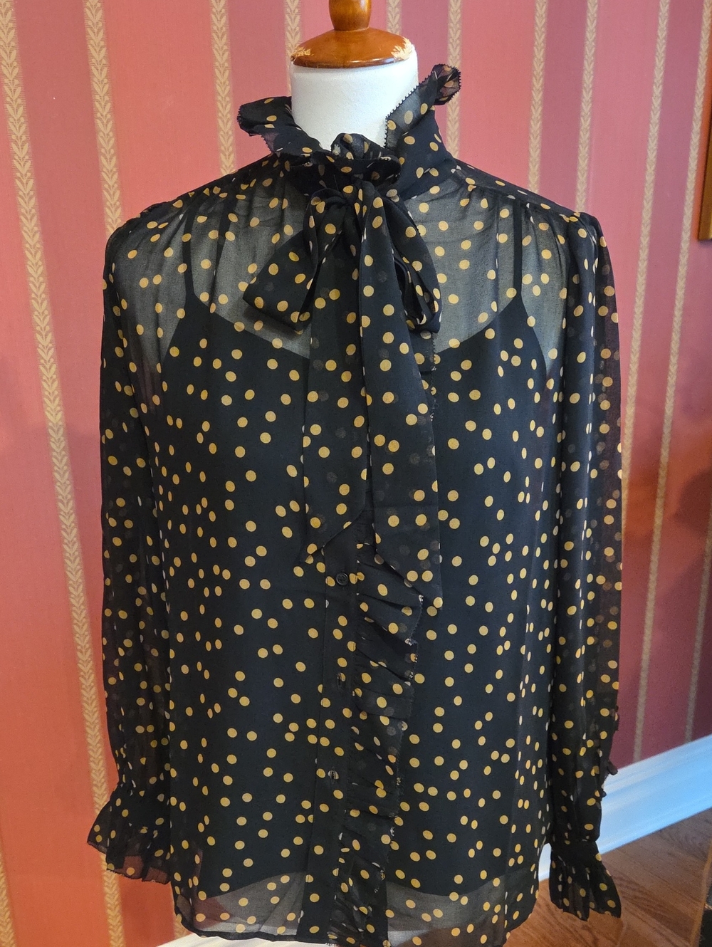 Sheer Blouse with Camisole
